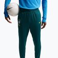 Штани футбольні чоловічі Nike Brazil Academy Pro Dri-Fit geode teal/light mint/midwest gold 5