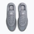 Кросівки чоловічі Nike Air Max Fire wolf grey/wolf grey/white 14