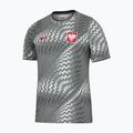Футболка футбольна чоловіча Nike Dri-Fit Poland Pre-Match 2026 pure platinum/cool grey