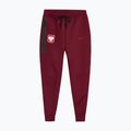 Штани футбольні чоловічі Nike Tech Fleece Poland Jogger team red 3