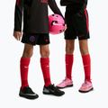 Шорти футбольні дитячі Nike Paris Saint-Germain Strike black/hyper royal/global red/global red