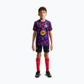 Футболка футбольна дитяча Nike FC Barcelona Dri-Fit Pre-Match noble red/mineral yellow 3
