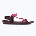 Сандалі barefoot жіночі Xero Shoes Z-Trail EV fuchsia purple 2