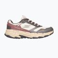 Взуття жіноче SKECHERS Go Run Trail Altitude 2.0 Ravine beige 2