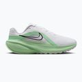 Кросівки для бігу жіночі Nike Downshifter 14 white/cucumber calm/illusion green/white