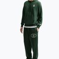 Штани чоловічі Nike Sportswear Club fir/fir/phantom 4