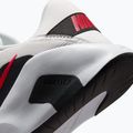Кросівки для тренувань чоловічі Nike Flex Train off white/white/black/university red 6