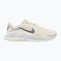 Кросівки для тренувань чоловічі Nike Flex Train phantom/white/sail/pencil point