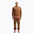 Кофта чоловіча Nike Club ale brown/white 2