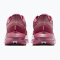 Кросівки для бігу жіночі Nike Pegasus Premium pink smoke/light magenta/pink smoke 6