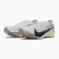 Кросівки для бігу чоловічі Nike Streakfly 2 spruce aura/phantom/dark obsidian 3