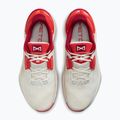 Кросівки для тренувань чоловічі Nike Metcon 10 picante red/tough red/phantom 4