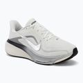 Кросівки для бігу жіночі Nike Pegasus 42 summit white/sail/black/metallic silver