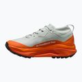 Кросівки для бігу чоловічі Nike ACG Zegama Trail GORE-TEX light silver/safety orange/summit white 2