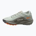 Кросівки для бігу жіночі Nike ACG Pegasus Trail GORE-TEX Light Silver/Light Army/Light Silver 2