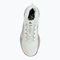 Кросівки для бігу жіночі Nike ACG Pegasus Trail GORE-TEX Barely Green/Silver Lilac/Light Bone 5