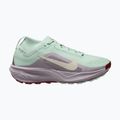 Кросівки для бігу жіночі Nike ACG Pegasus Trail GORE-TEX Barely Green/Silver Lilac/Light Bone