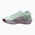 Кросівки для бігу жіночі Nike ACG Pegasus Trail GORE-TEX Barely Green/Silver Lilac/Light Bone 2