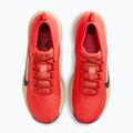 Кросівки для бігу чоловічі Nike ACG Pegasus Trail GORE-TEX Light Crimson/Linen/Black 5