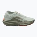 Кросівки для бігу чоловічі Nike ACG Pegasus Trail GORE-TEX Light Silver/Light Army/Light Silver