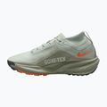 Кросівки для бігу чоловічі Nike ACG Pegasus Trail GORE-TEX Light Silver/Light Army/Light Silver 2