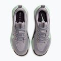 Кросівки для бігу жіночі Nike Wildhorse 10 silver lilac/tattoo/barely green 4