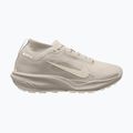 Кросівки для бігу чоловічі Nike ACG Pegasus Trail GORE-TEX Cream Ii/Light Orewood Brown
