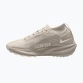 Кросівки для бігу чоловічі Nike ACG Pegasus Trail GORE-TEX Cream Ii/Light Orewood Brown 2