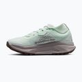 Жіночі бігові кросівки Nike ACG Zegama Trail barely green/Tattoo/Silver Lilac 2
