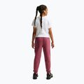 Штани дитячі Nike Sportswear Studio pink smoke/white 3