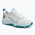 Взуття Nike Omni Multi-Court off white/energy/glacier blue