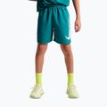 Шорти дитячі Nike Multi Refresh bright spruce