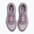 Кросівки для бігу жіночі Nike Pegasus Plus 2 silver lilac/particle rose/fennel/sail 4