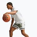 Шорти баскетбольні чоловічі Nike Giannis volt/off white/off white 6