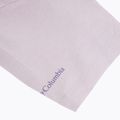 Футболка жіноча Columbia Ruby Springs Graphic Fitted lavender pearl/brandrise 4
