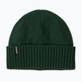 Шапка зимова Patagonia Brodeo treeline green
