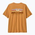 Футболка чоловіча Patagonia Fitz Roy Foothills dried mango 2
