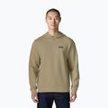 Кофта чоловіча Patagonia Daily Hoody weathered stone