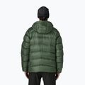 Пуховик чоловічий Patagonia Fitz Roy Down Hoody canopy green 2