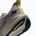 Кросівки для бігу жіночі Nike Pegasus 42 GORE-TEX particle rose/silver lilac/fennel/sail 6