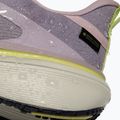 Кросівки для бігу жіночі Nike Pegasus 42 GORE-TEX particle rose/silver lilac/fennel/sail 7