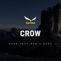 Черевики для альпінізму чоловічі Salewa Crow GTX зелені 00-0000061328 12