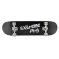 Класичний скейтборд Mechanics Pro-Extreme 31 чорний Pro-ext