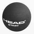 М'яч для сквошу HEAD Start Squash Ball 287346 2