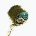 Плетена волосінь коропова Katran Mimicker Braided Hook Links зелена
