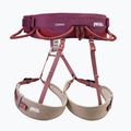 Страхувальна система для скелелазіння Petzl Red Corax 2