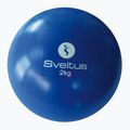 М'яч лікарський Sveltus Weighted 2 кг blue