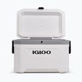 Холодильник туристичний Igloo Latitude Marine Ultra 54 51 л white/moonscape gray 4