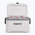 Холодильник туристичний Igloo Latitude Marine Ultra 54 51 л white/moonscape gray 10