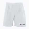 Шорти тенісні чоловічі Tecnifibre Stretch білі 23STRE
